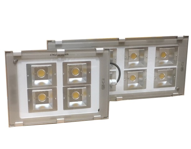 Special purpose LED light